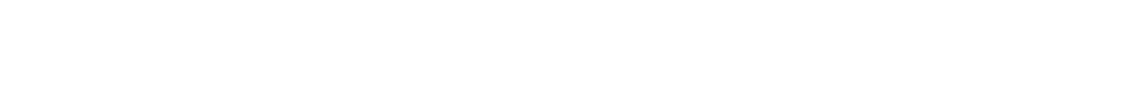 NISHIO GIKEN COMPANY